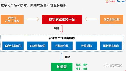 dt智慧服務(wù)聯(lián)盟 攜手共赴數(shù)字農(nóng)業(yè)新時代
